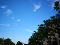 -中国联通(三亚市解放二路营业厅)