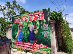 -大自然农场蔬菜草莓采摘园