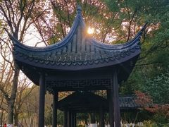 -范蠡湖公园