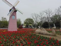 -祥源·阜阳生态乐园