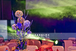 -上海绿地万豪酒店·大宴会厅