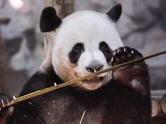 -栾川竹海野生动物园