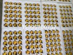 -东山风景区(洞庭东山)