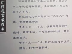 -浙江西湖美术馆