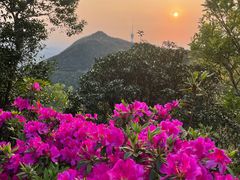 -梧桐山风景名胜区