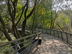 -西湖风景区-江洋畈生态公园