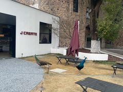 -J Create城市露营咖啡·简餐·宠物(上海动物园店)