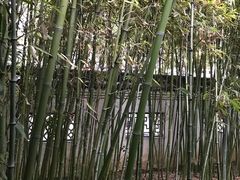 -墨池公园