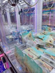 -蹦蹦乐园(南桥百联店)