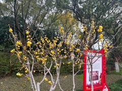 -上海海湾国家森林公园