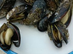 -渔中舟海鲜大排档(普陀沈家门店)