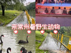 -常州淹城野生动物世界