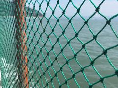 -大京沙滩