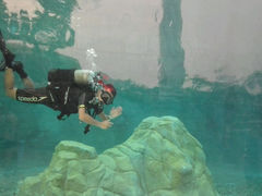 android_upload_pic-上海玛雅海滩水公园