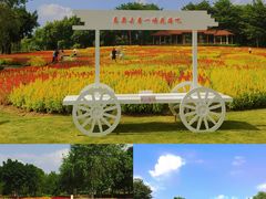-厦门园林博览苑