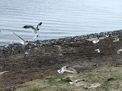 -青海湖二郎剑景区