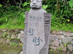 -都江堰中华大熊猫苑