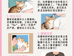 -暖阳宠物医院·犬猫康复中心·骨科