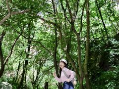 -少华山国家森林公园