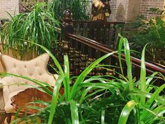 -福禧酒窖·中餐厅 (万柳店)