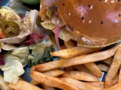 -Famous肥猫墨西哥音乐餐吧(五棵松华熙LIVE店)