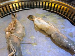 -熊出没日本烧肉放题