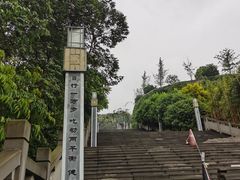 -铁山坪森林公园