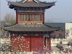 -正觉寺