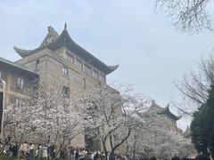 -武汉大学-樱园