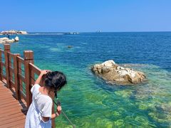 -养马岛旅游度假区
