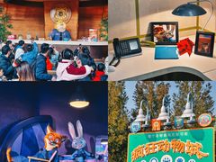 -上海迪士尼度假区