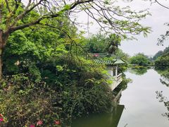-星湖旅游景区七星岩