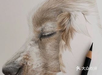自学彩铅一个月分享心得和总结！