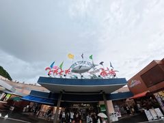 -海鮮寿司とれとれ市場