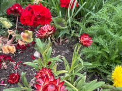 -国家植物园南园