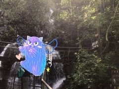 -藏龙百瀑风景区