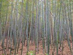-南北湖风景区