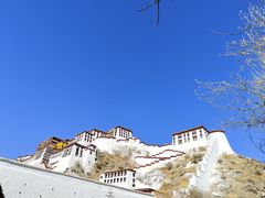 -布达拉宫