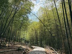 -北仑森林植物园