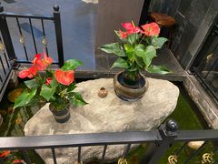 -山水雅居·江南雅宴(运河公园店)