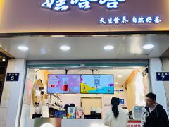 门面-娃哈哈·奶茶(武林店)
