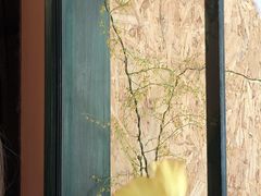 -The Flowers Coffee(南山店)