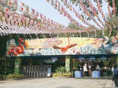 -广州长隆飞鸟乐园