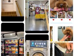 -宠小格时尚宠物生活馆(唐镇店)