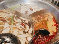 -辣伍鲜毛肚老火锅(元一店)
