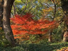 -普陀山风景名胜区-法雨禅寺