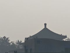 -中国农业博物馆