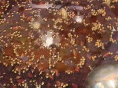 -味之绝热血美蛙鱼火锅(中坝店)