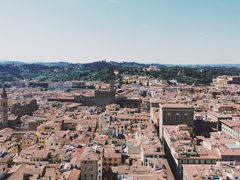 -圣母百花大教堂穹顶