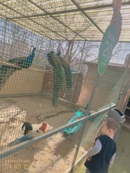 -萌宠亲子动物乐园(槐房万达店)